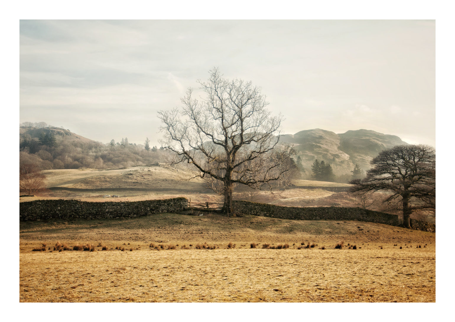A4L_elterwater4