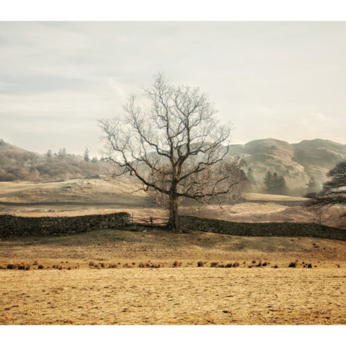 A4L_elterwater4