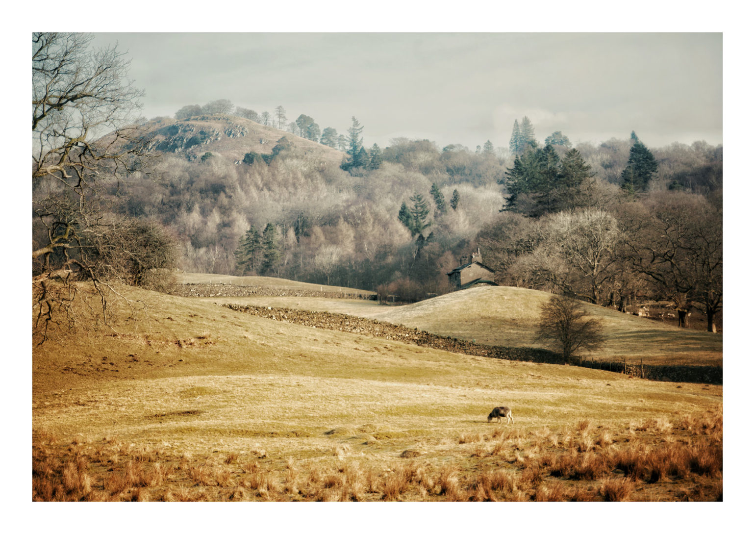 A4L_elterwater9