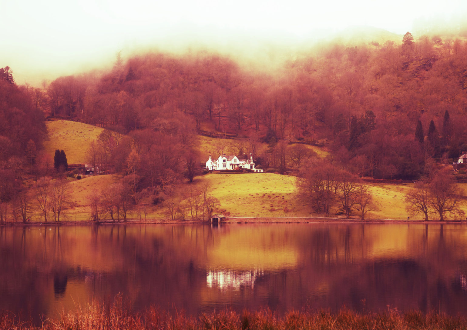 grasmere__2