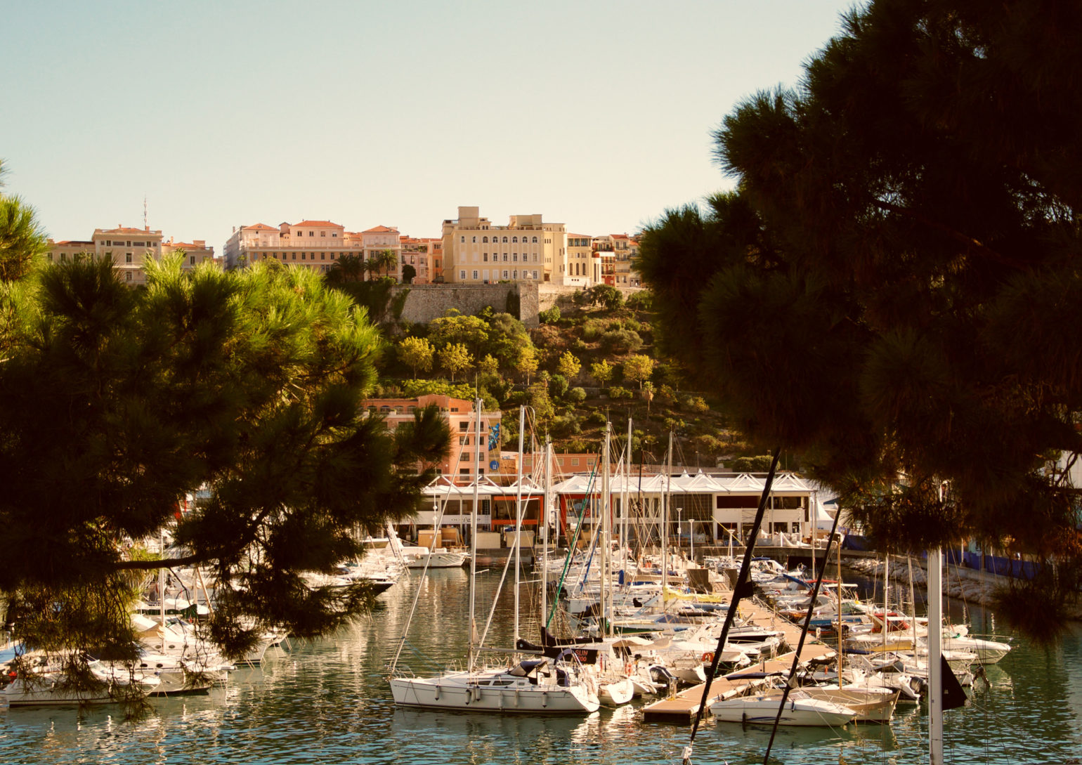 montecarlo__1