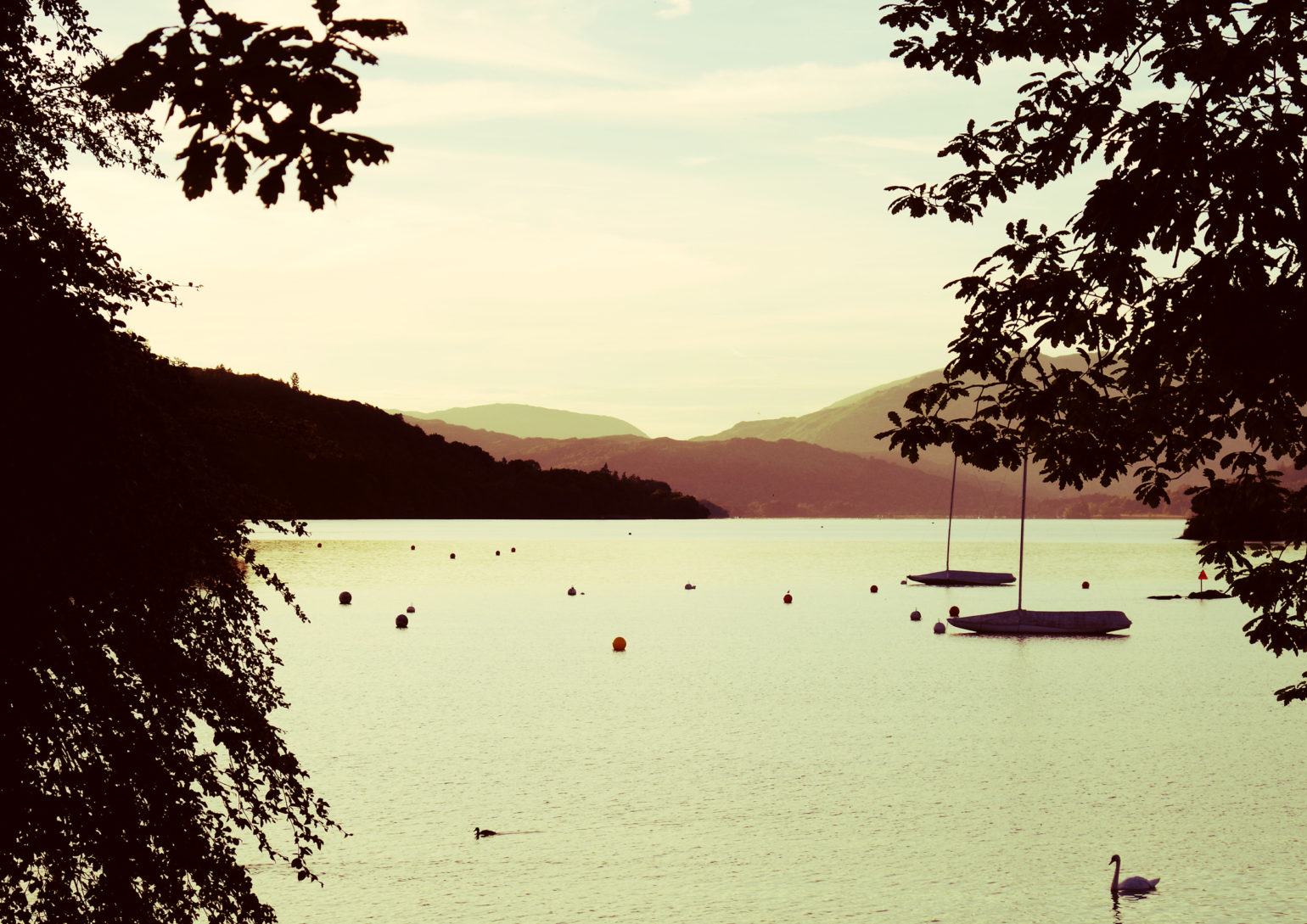 windermere__1