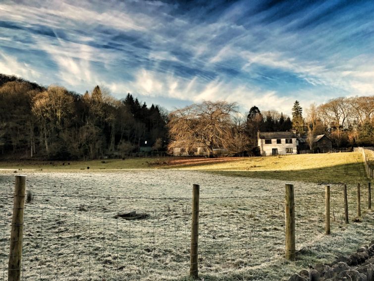 Field trip to manipal lake essay image